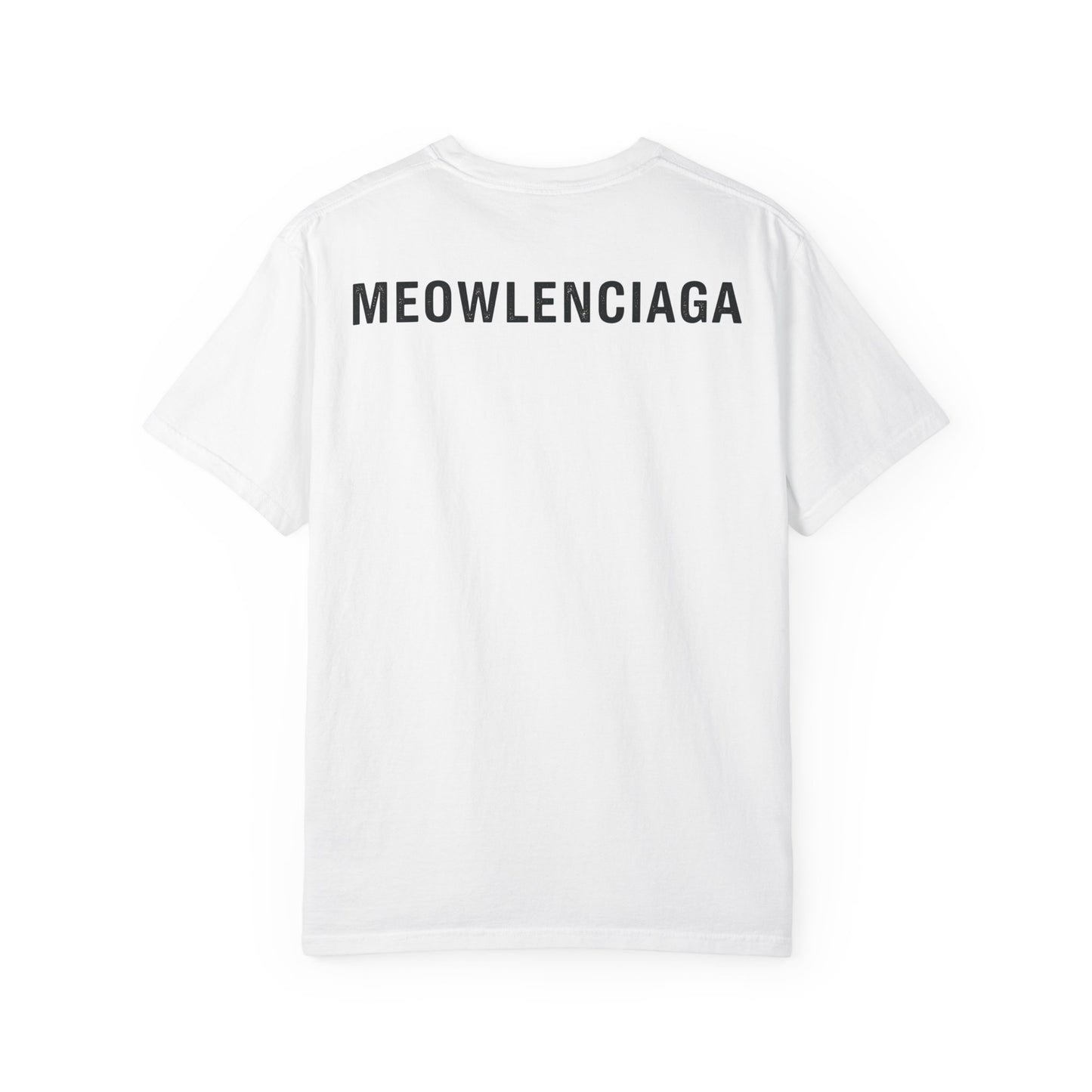 Meowlenciaga Cat Graphic T-Shirt | Streetwear Hoodie Cat Illustration